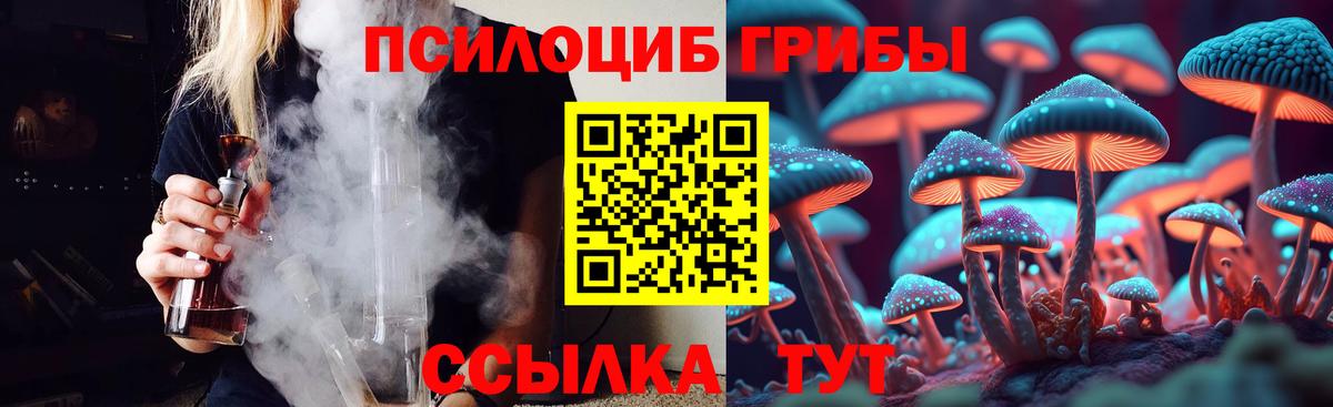 Галлюциногенные грибы GOLDEN TEACHER  Вход с VPN  Псилоцибиновые грибы GOLDEN TEACHER  Сланцы 